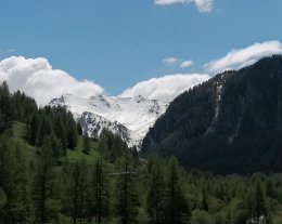 "L'Ecurie d'Eliris" Maison MARTIN GENDRE la chalp ste Agathe