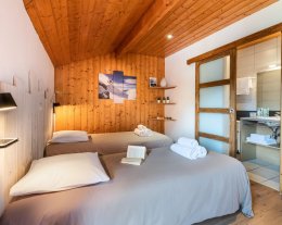 Snow Valley pour 15 pers. Au pied des pistes des Menuires-3 Vallées - cheminée -sauna- spa extérieur
