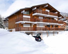 Les Saisies - Appartement rénové en petite résidence au bas de la station + Garage Les Saisies - Appartement rénové en petite résidence au bas de la station + Garage