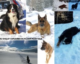 CHALET CAPUCINES NAVETTE GRATUITE AU PIED DU CHALET ANIMAUX ACCEPTES 