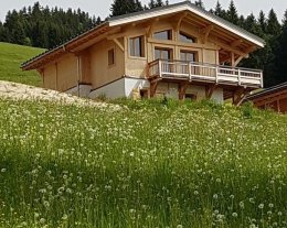 Chalet de charme en entier, ski au pied, été-hiver