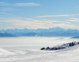Chalet le Chamois Chalet le Chamois