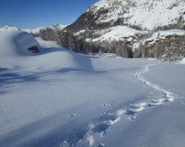 Chalet d'alpage Le Fenil