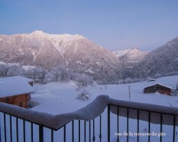 Un nid au cœur des montagnes