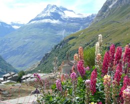  la Villa du Doron : la Dent Parrachée 