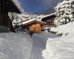 LE CLOS DE L'OURS - Chalet 4 pièces