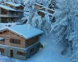 Chalet de 10, 16 ou 26 personnes selon configuration