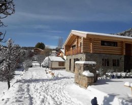 FLOCONS DE NEIGE