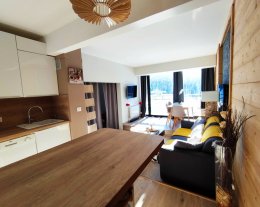 SUPERBE APPARTEMENT RENOVE AVEC VUE SUR PISTES