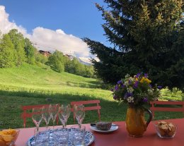 Chalet Charcas
