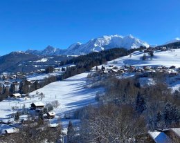 CHALET  BEL   ALP