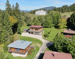 CHALET COSY "LES TROIS FLOCONS" AU MILIEU DE LA VERDURE AU CALME  (135 m2) Au calme - Classé 4 ****