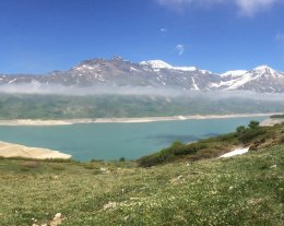 la Villa du Doron: le Sabot de Vénus 