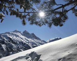 STUDIO 3 PERSONNES DANS LE CENTRE