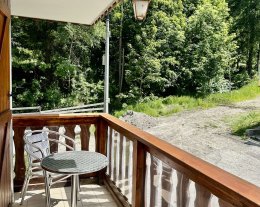 APPARTEMENT 3 PIECES DANS LE CENTRE