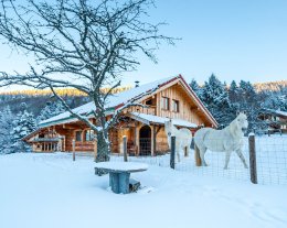 La fuste du Sellier - Chalet en rondins 3* pour 6 au coeur des Hautes-Vosges