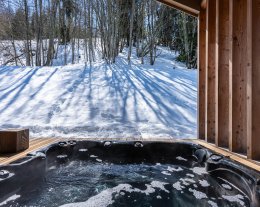 chalet BOREAL