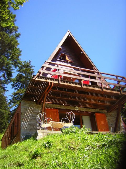 location chalet montagne 40 personnes