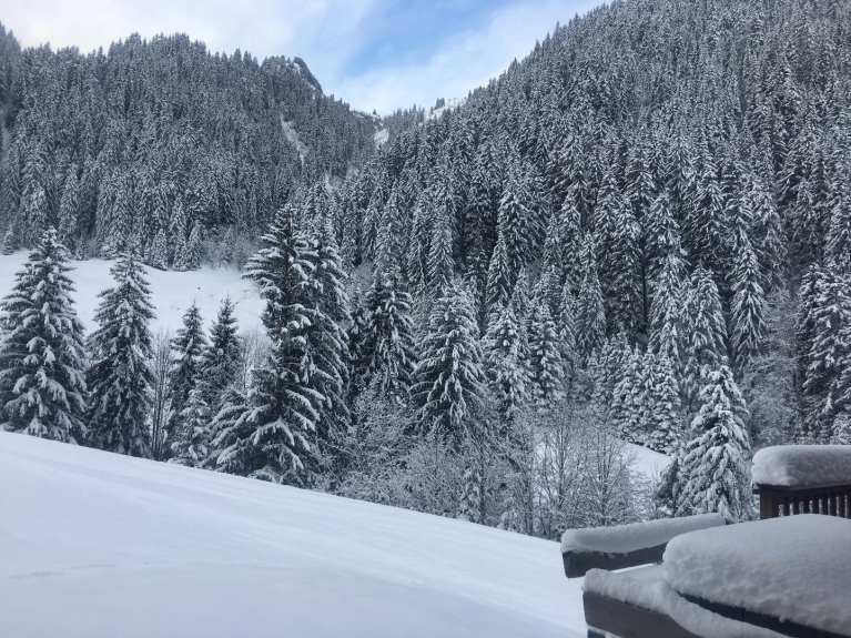 terrasse du chalet les perches