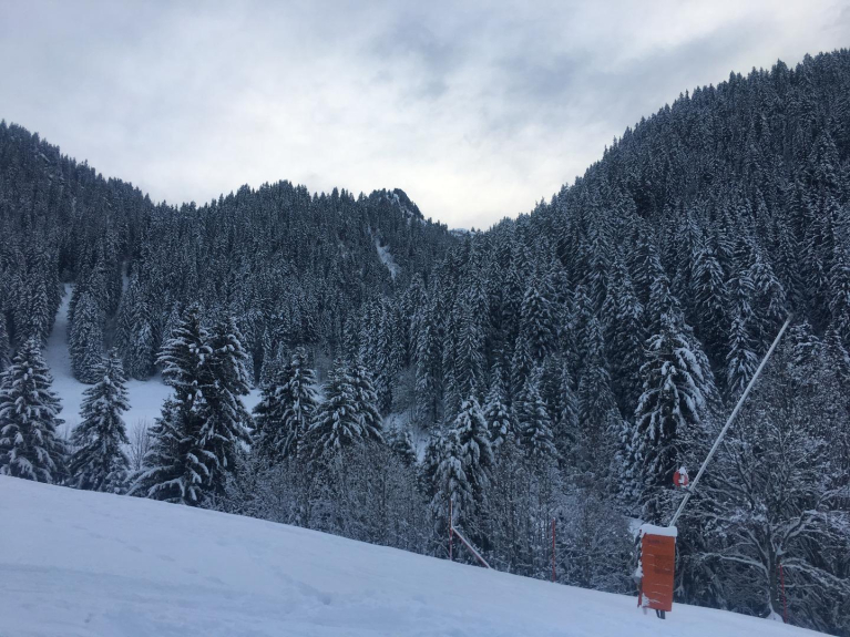 vue depuis le chalet les perches sur le balcon nord