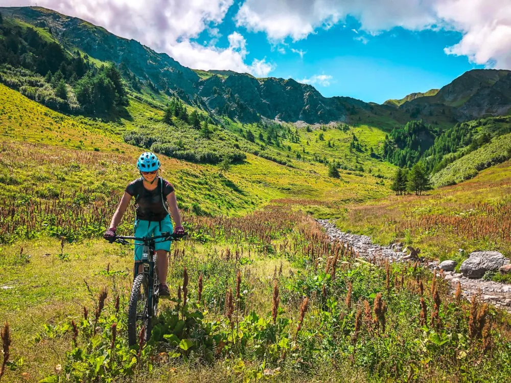 VTT tous niveaux et pistes de compétition
