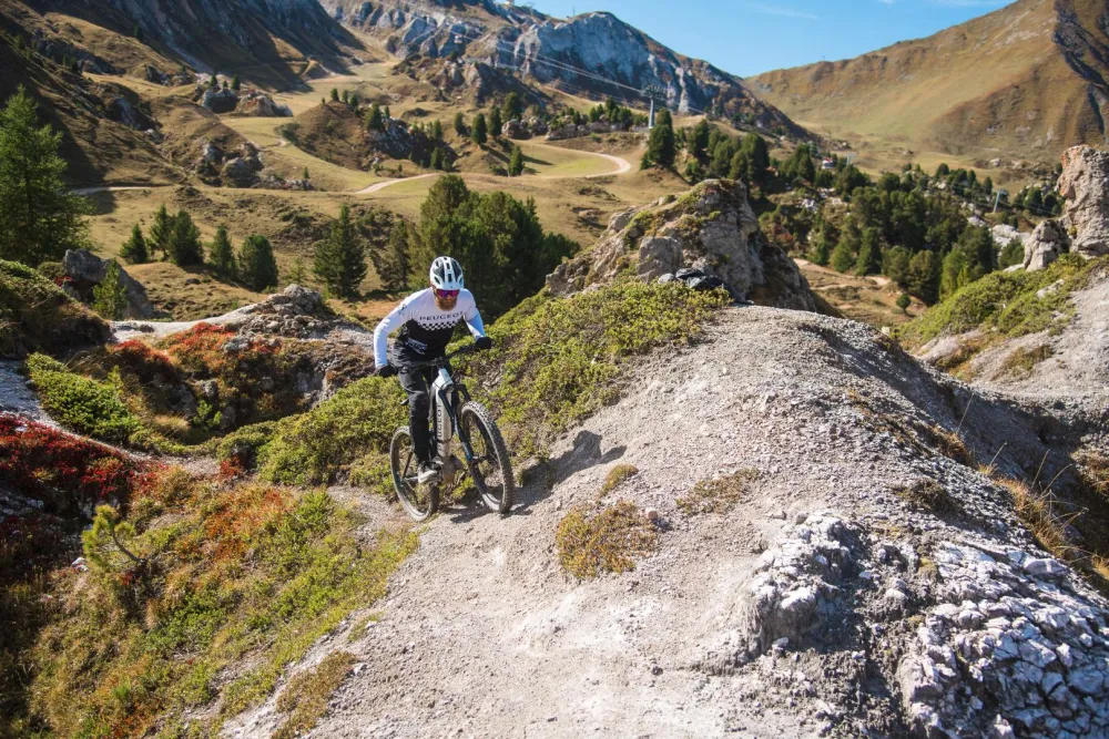 VTT tous niveaux et pistes de compétition