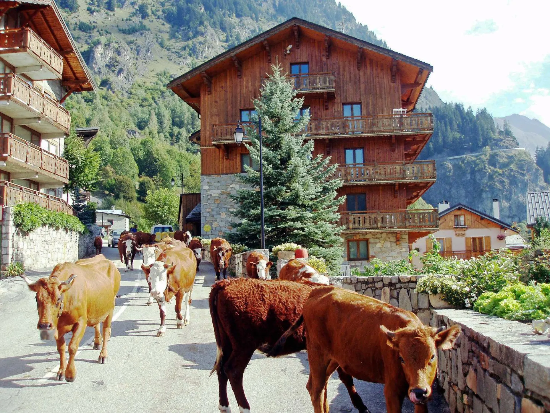 Les deux Chalets, La transhumance, fin de l'été...