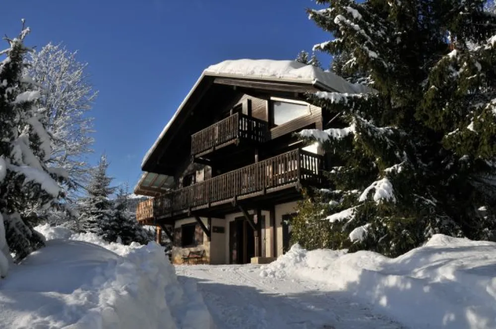 Chalet de luxe vue panoramique sur le mont blanc