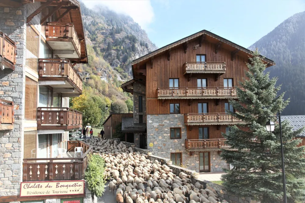 Les 2 Chalets en été
