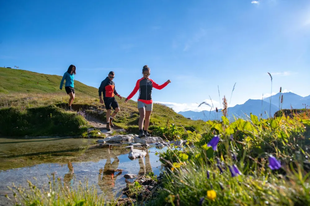 Randonnées Parc National de la Vanoise. Tous niveaux. 