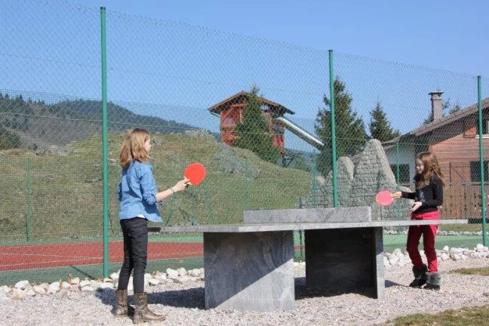 Chalet 8 pers, 2 salles de bain   bar à crèpes, piscine, spa, bowling, ping pong, tennis, wifi, aire de jeux géante, trampoline, baby foot, jeux vidéos,....