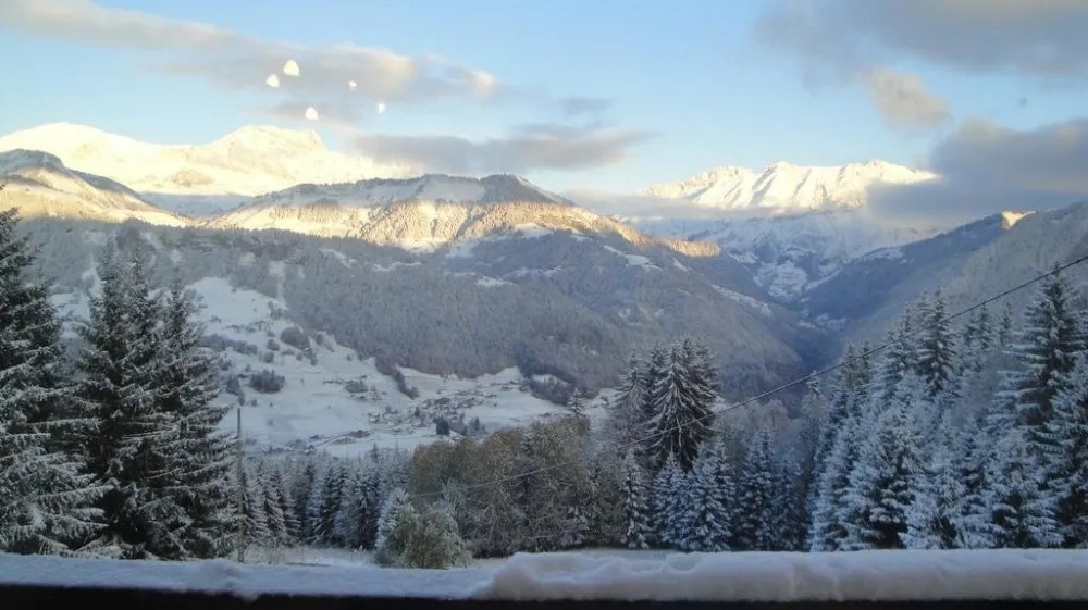 Chalet les grelots. les airelles