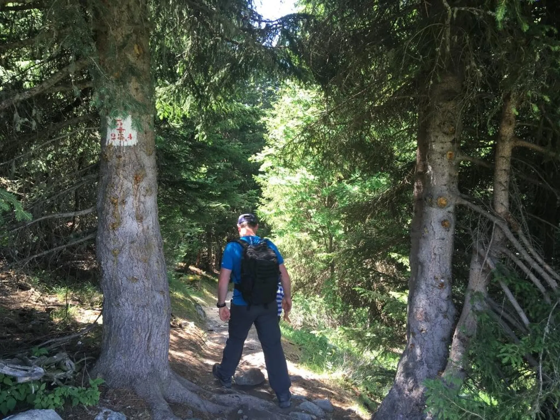 Chalet jamais bleu