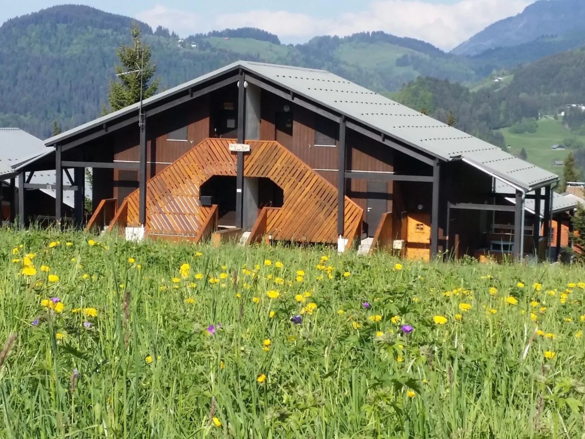 Les petits tetras du cernix - crest voland - cohennoz - saisies - les aravis - savoie mont blanc