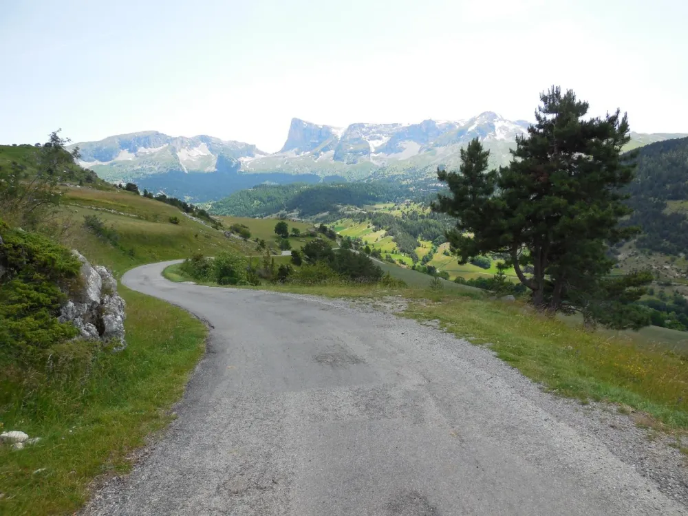 paysage en été