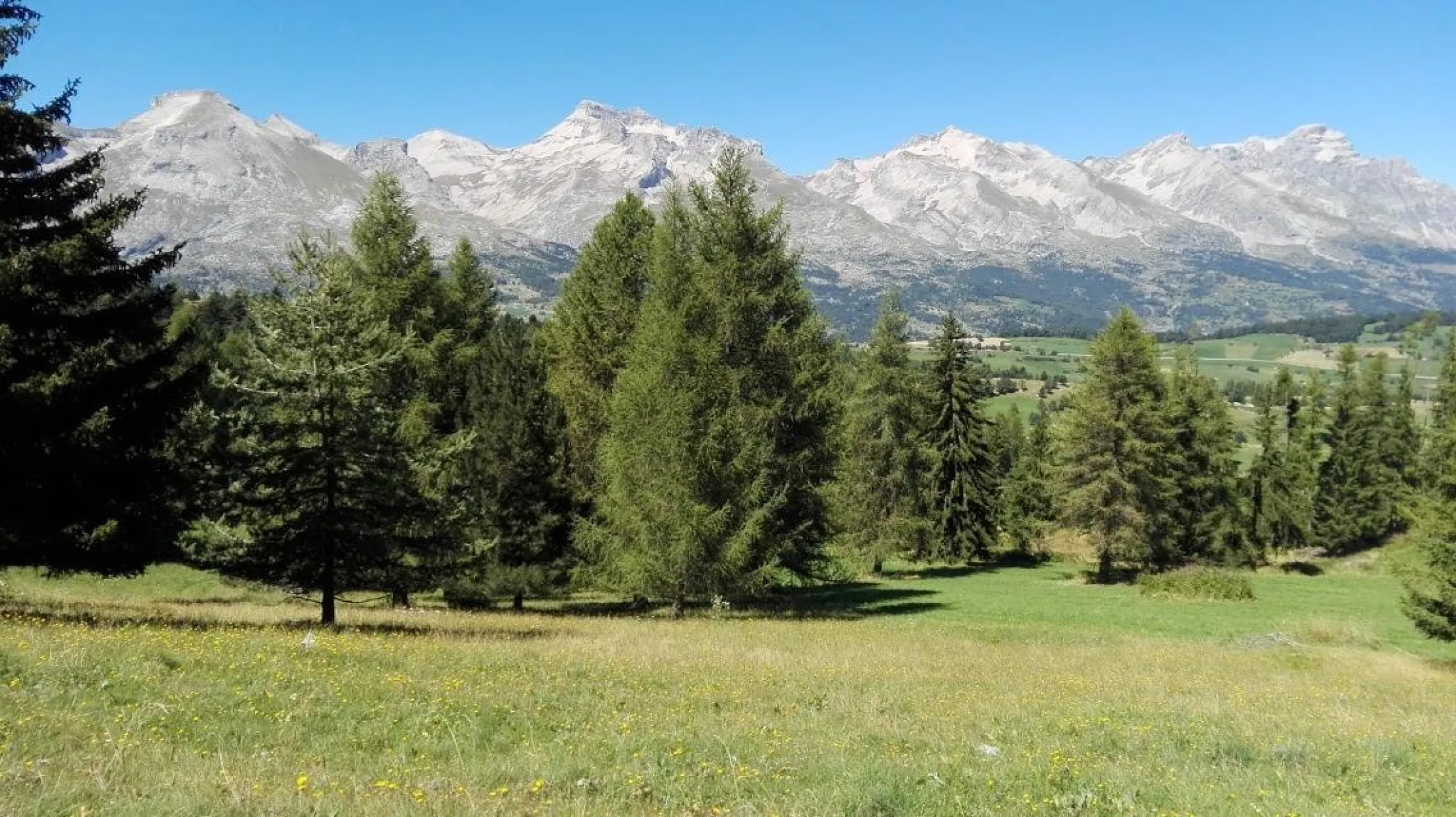 paysage en été
