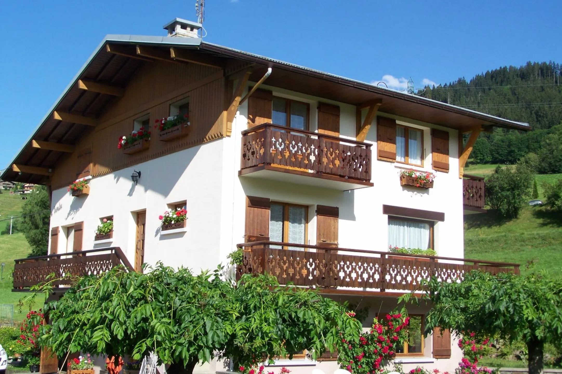 Sunny chalet