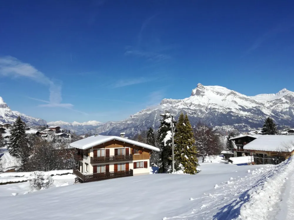 In the background, view of the Aiguilles de Warens mountain