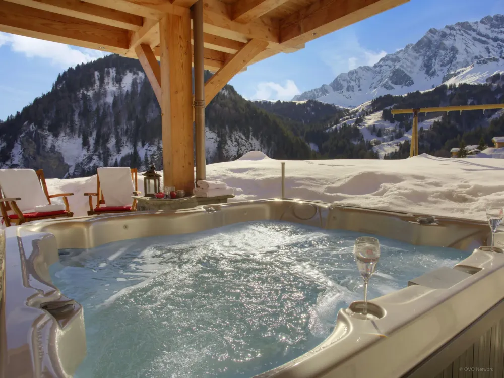 Jacuzzi / Spa