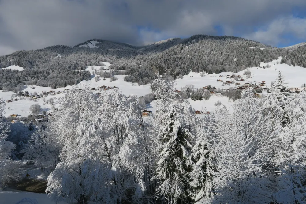 Vue depuis la salle à manger.