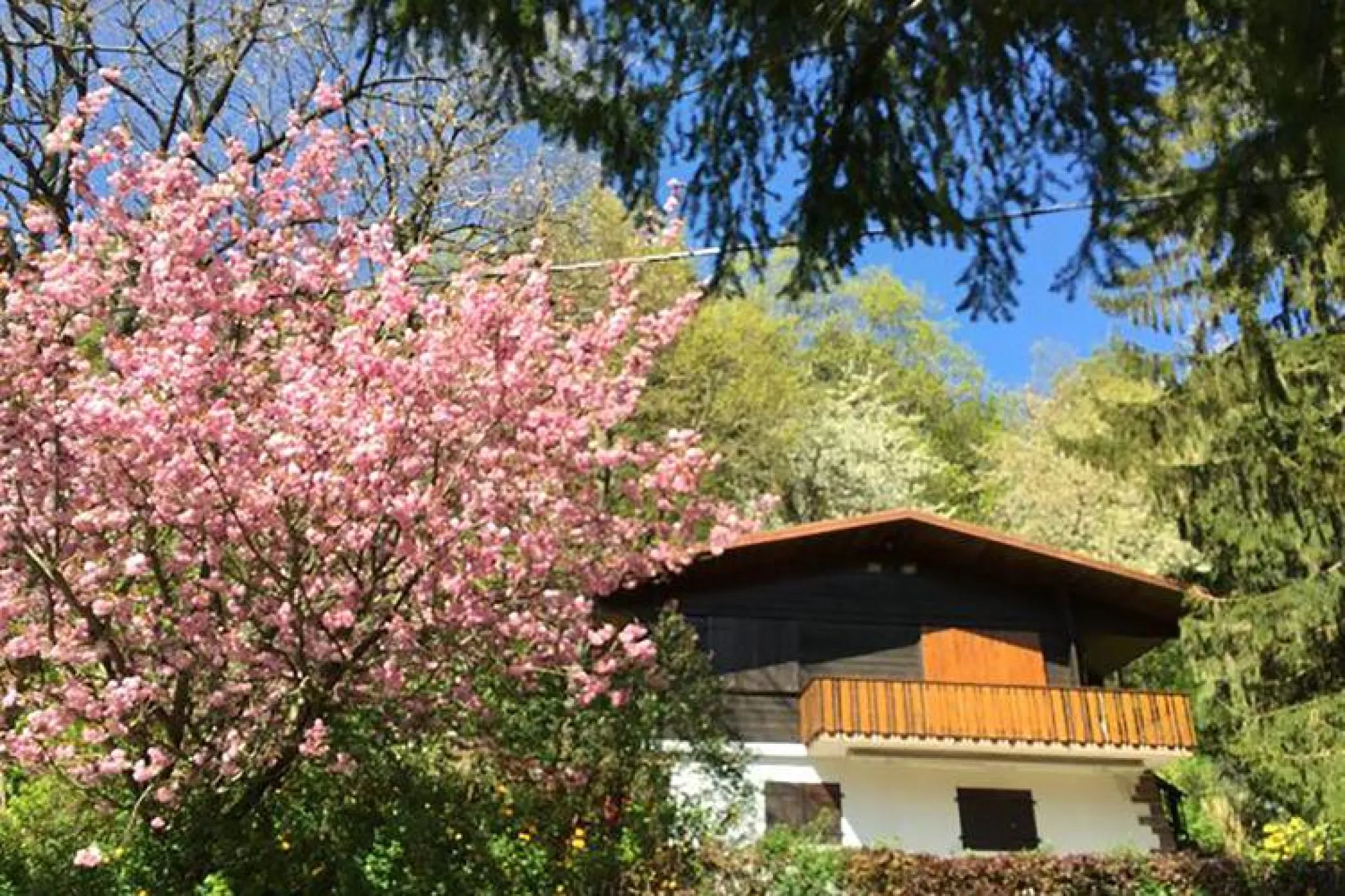 chalet  version printanière