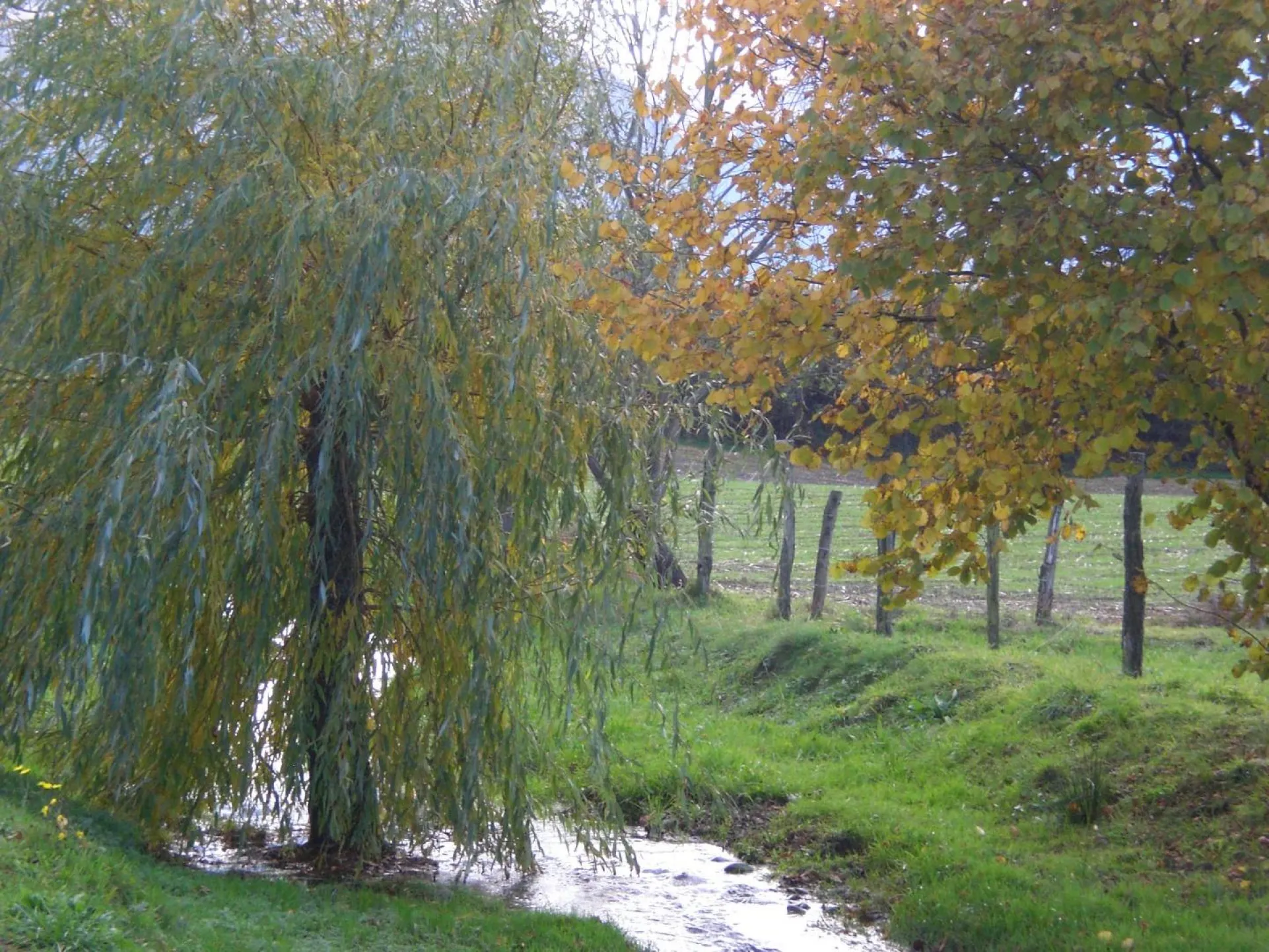 Un ruisseau bordé d'arbres longe le terrain.