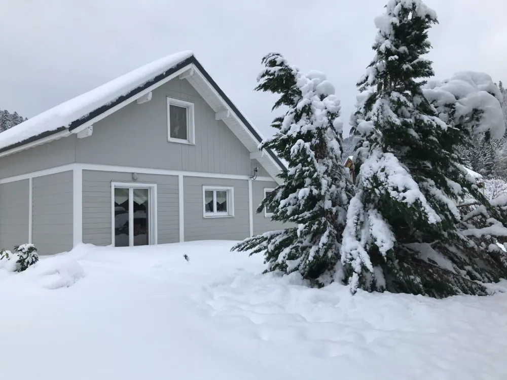 View under the snow