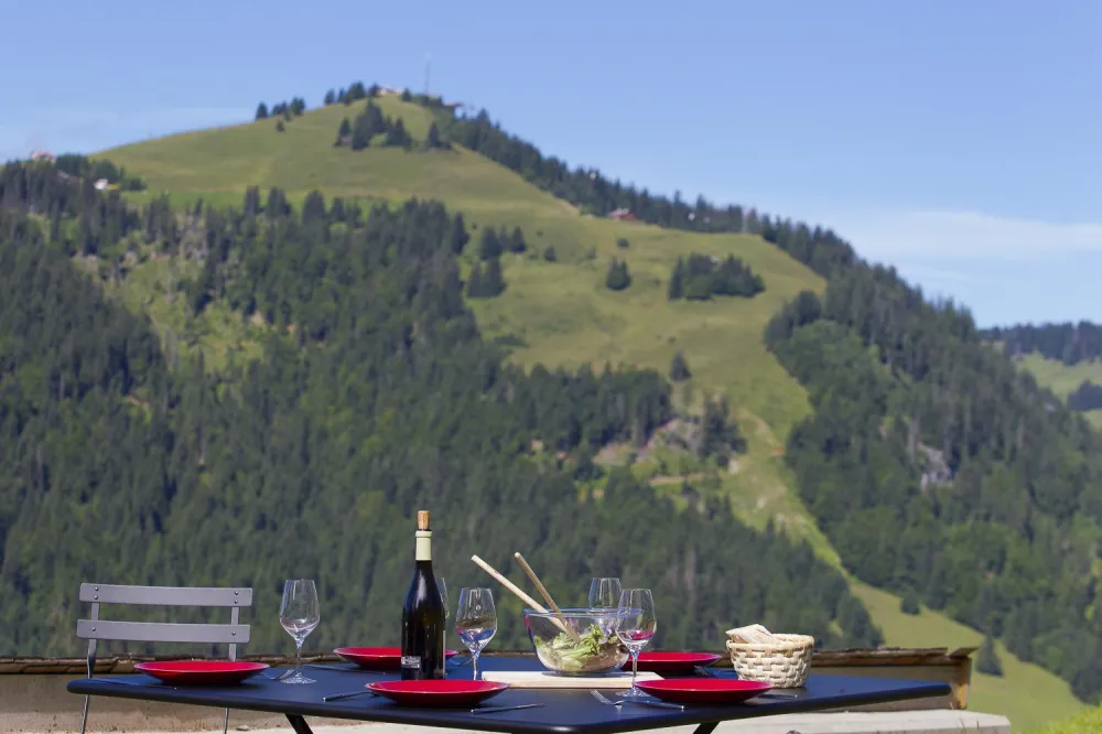 Terrace with exterior view / Summer