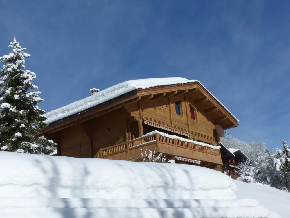 Chalet in winter