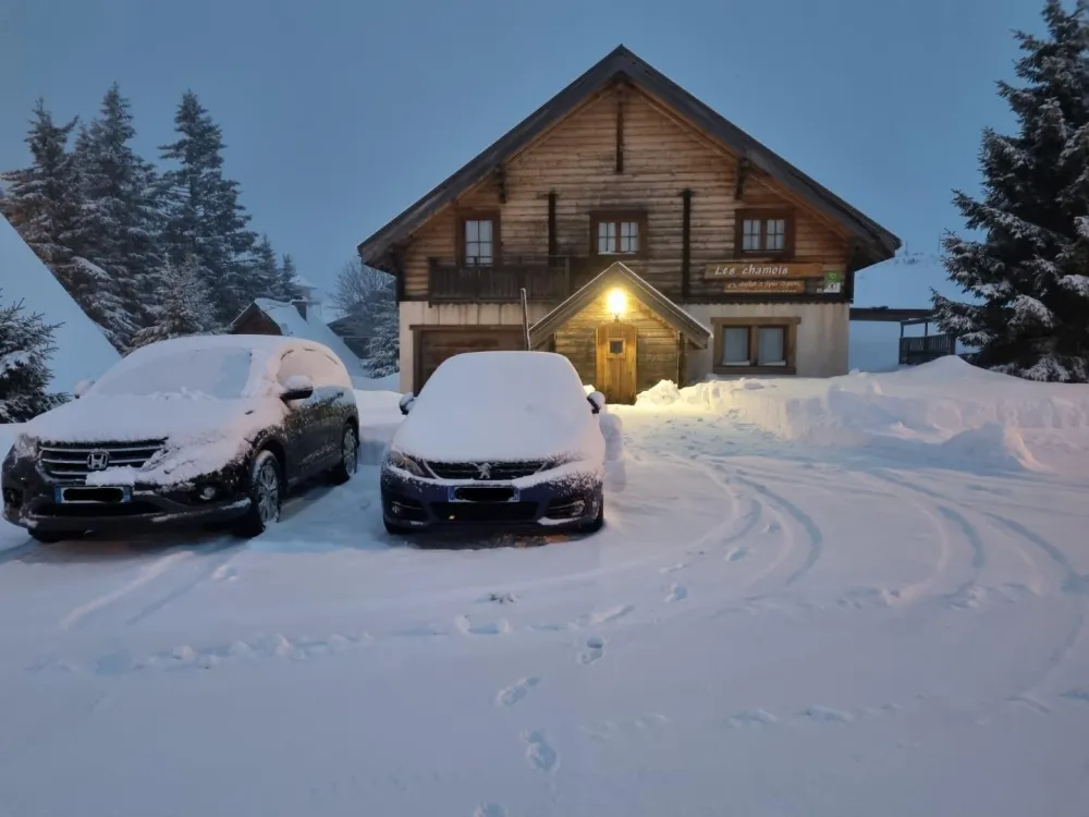 Les chamois