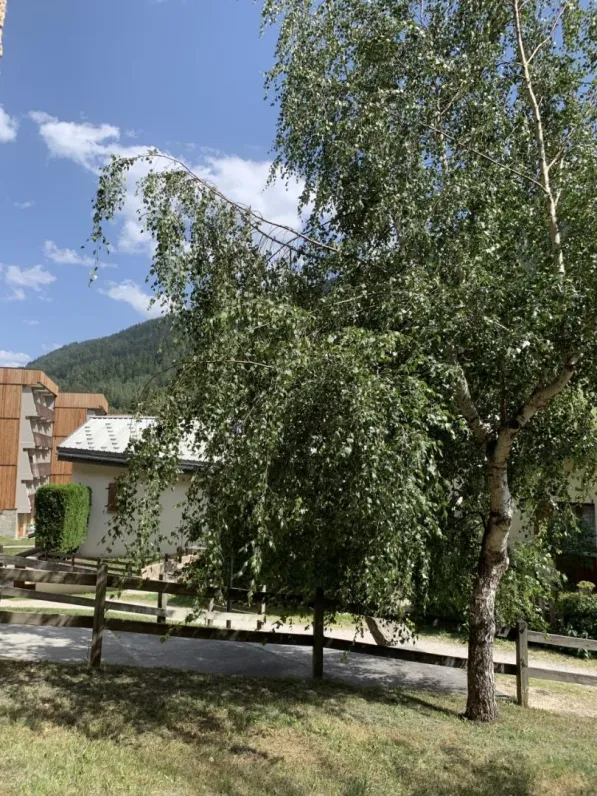Les portes de la vanoise, appt n° 108b