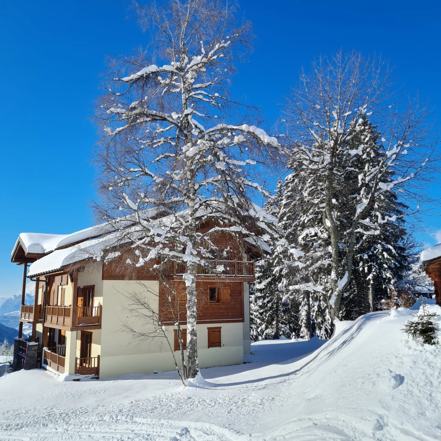 Vue du Chalet "Teddy" des Oursons où se situe l'appartement