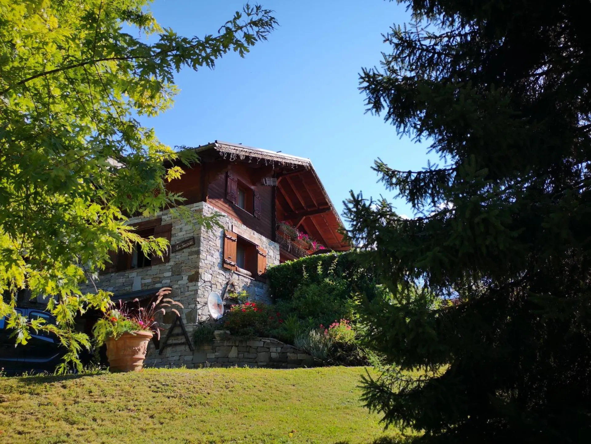 Le serpolet