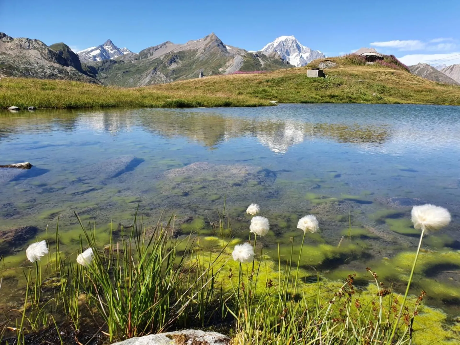 paysage d'été